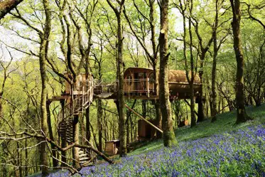 Unique treehouse