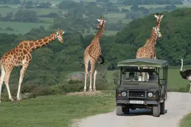 Zoo and safari park glamping