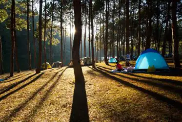 Woodland and forest campsites