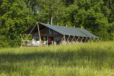 Safari tents