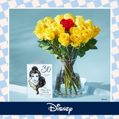 Disney’s Belle 20 Mixed Roses