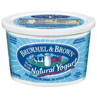 Brummel & Brown Yogurt Spread, 15 Ounce