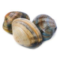 Fresh Live Manila Clams, 1 Pound