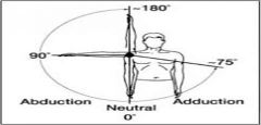 - pectoralis major
- coracobrachialis
- latissimus dorsi
- teres major
- subscapularis

Crossover sign test AC joint stability.