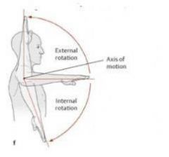 - infraspinatus (testable with isolation)
- teres minor
- posterior deltoid

Examine by having patient but hand behind head.