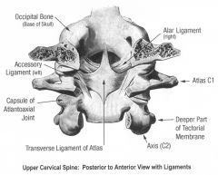 Spine Bony Anatomy Flashcards - Cram.com