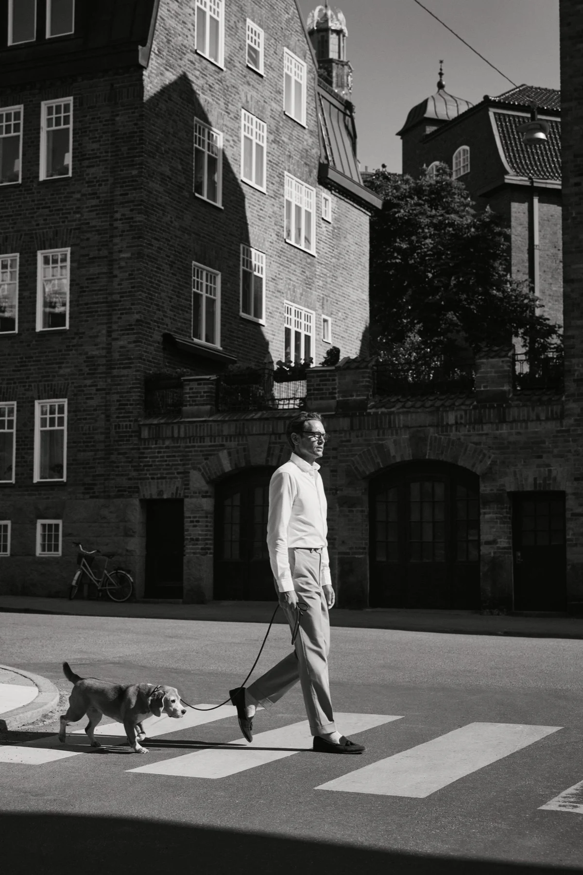 model walking dog in white shirt crossing street