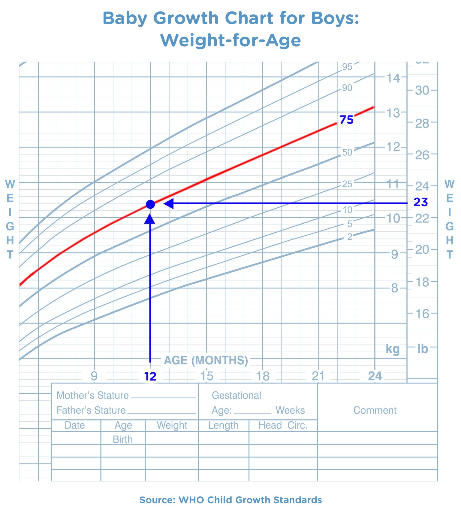 Fetal Growth Chart