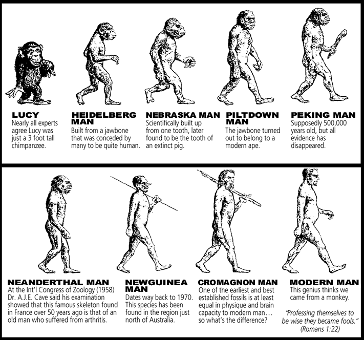 Charles Darwin Theory Of Evolution Of Man