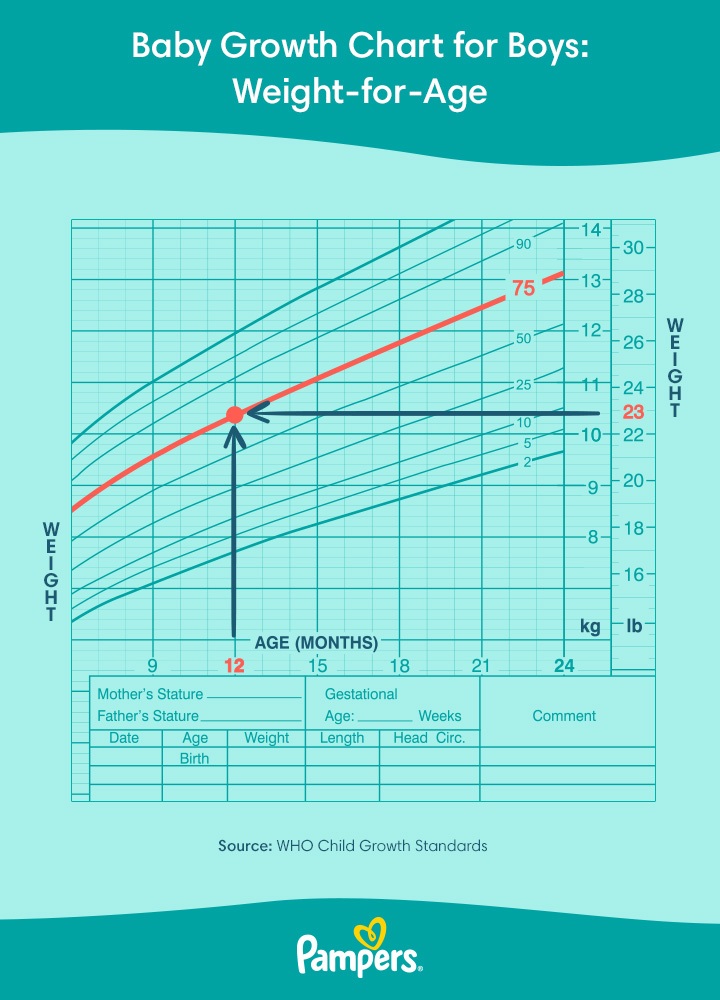 growth chart with percentiles Stature for age and weight for age ...