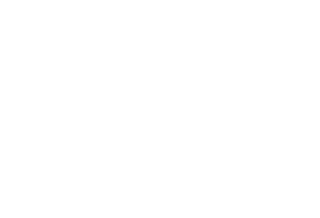 TURTLE ROCK STUDIOS