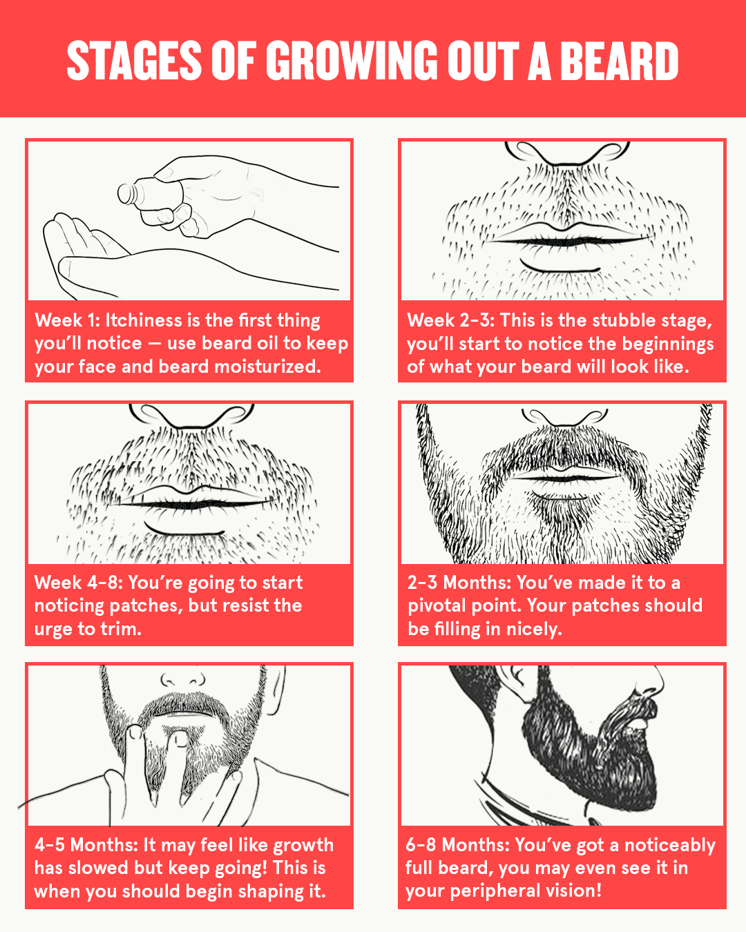 Beard Infographic