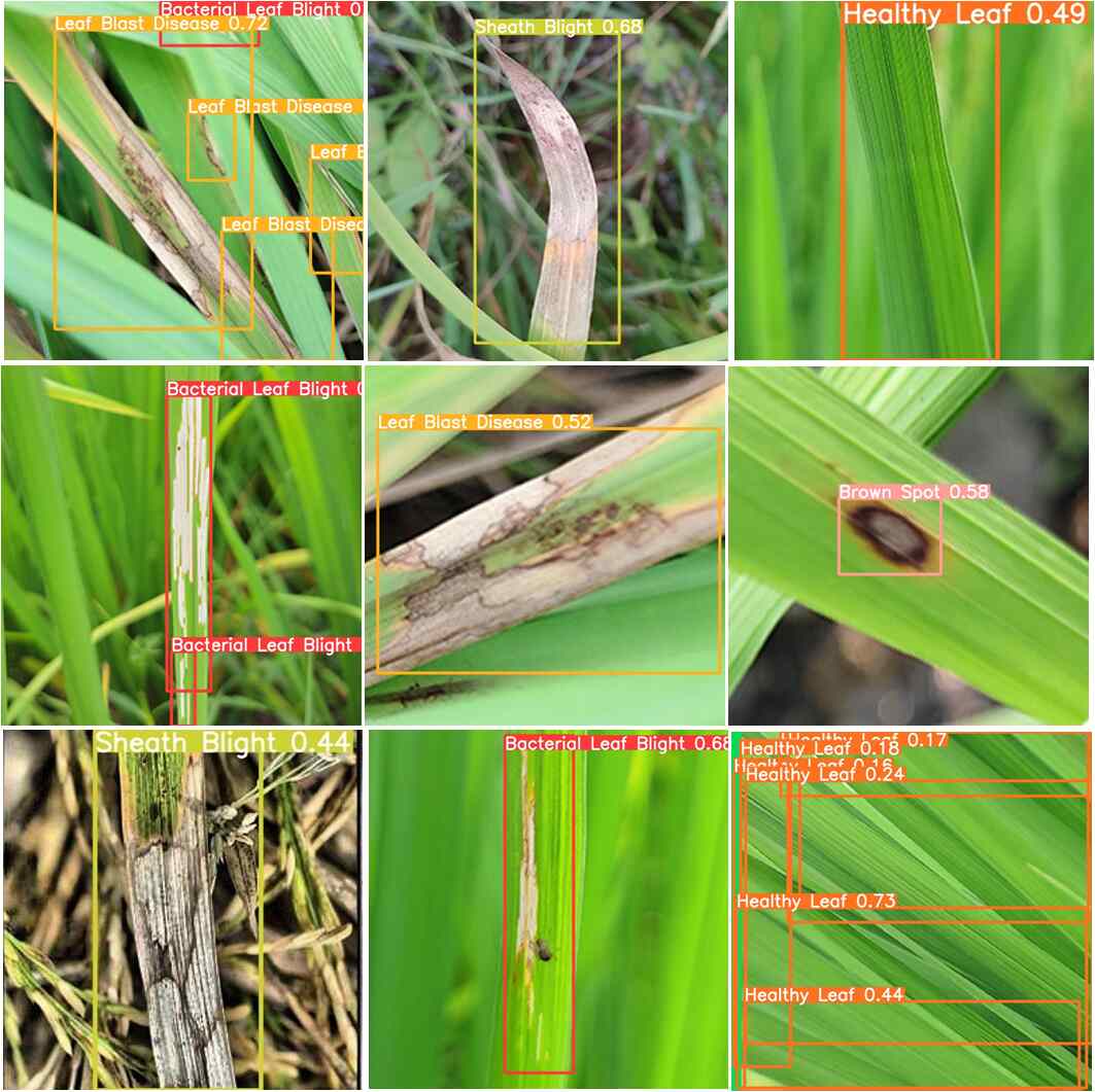 Rice Leaf Disease Detection Obj Object Detection Dataset And Pre | My ...