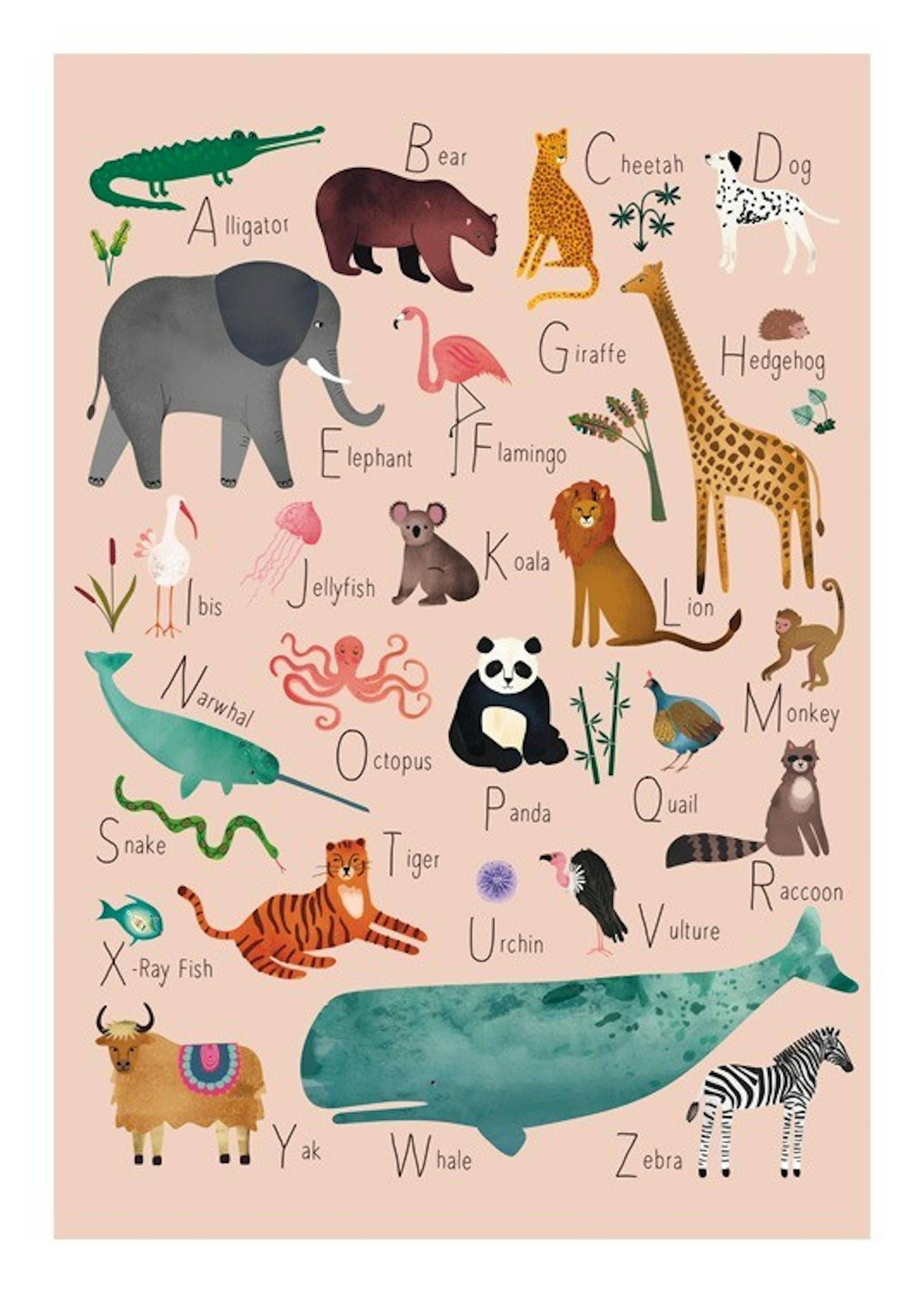 Alphabet Animals 1 Plakat 0