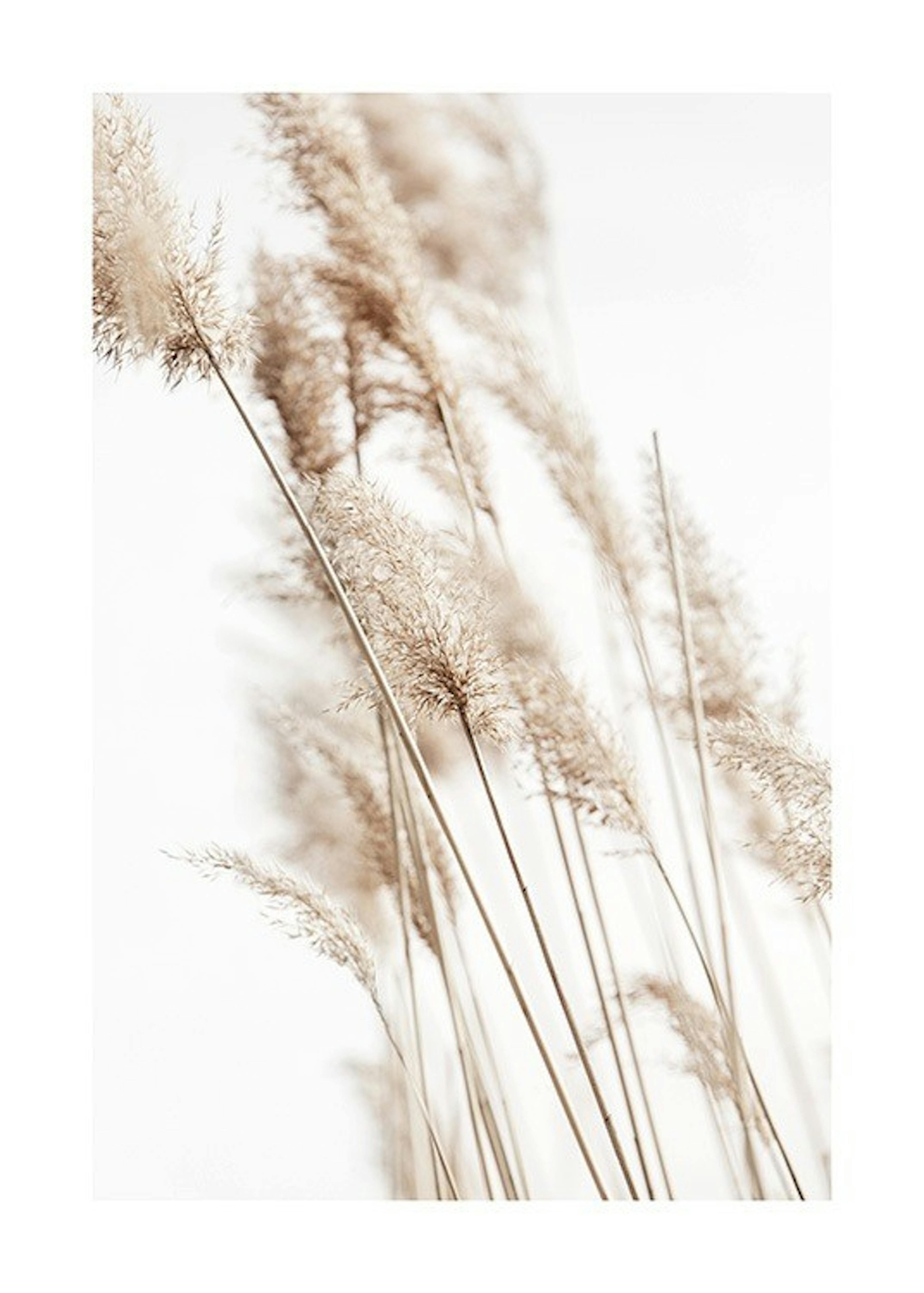 Sunny Reeds No2 Print 0