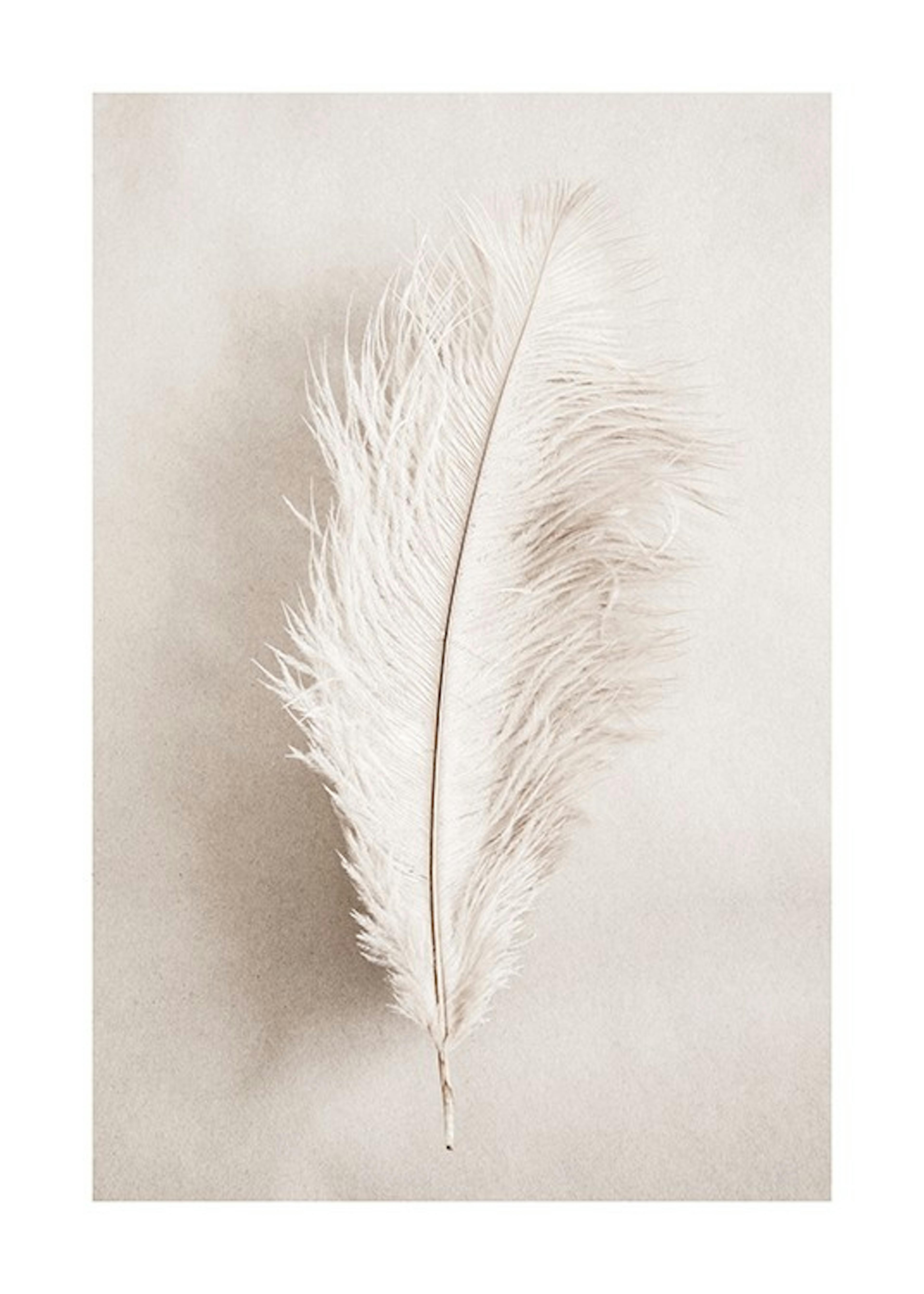 As a Feather Print 0