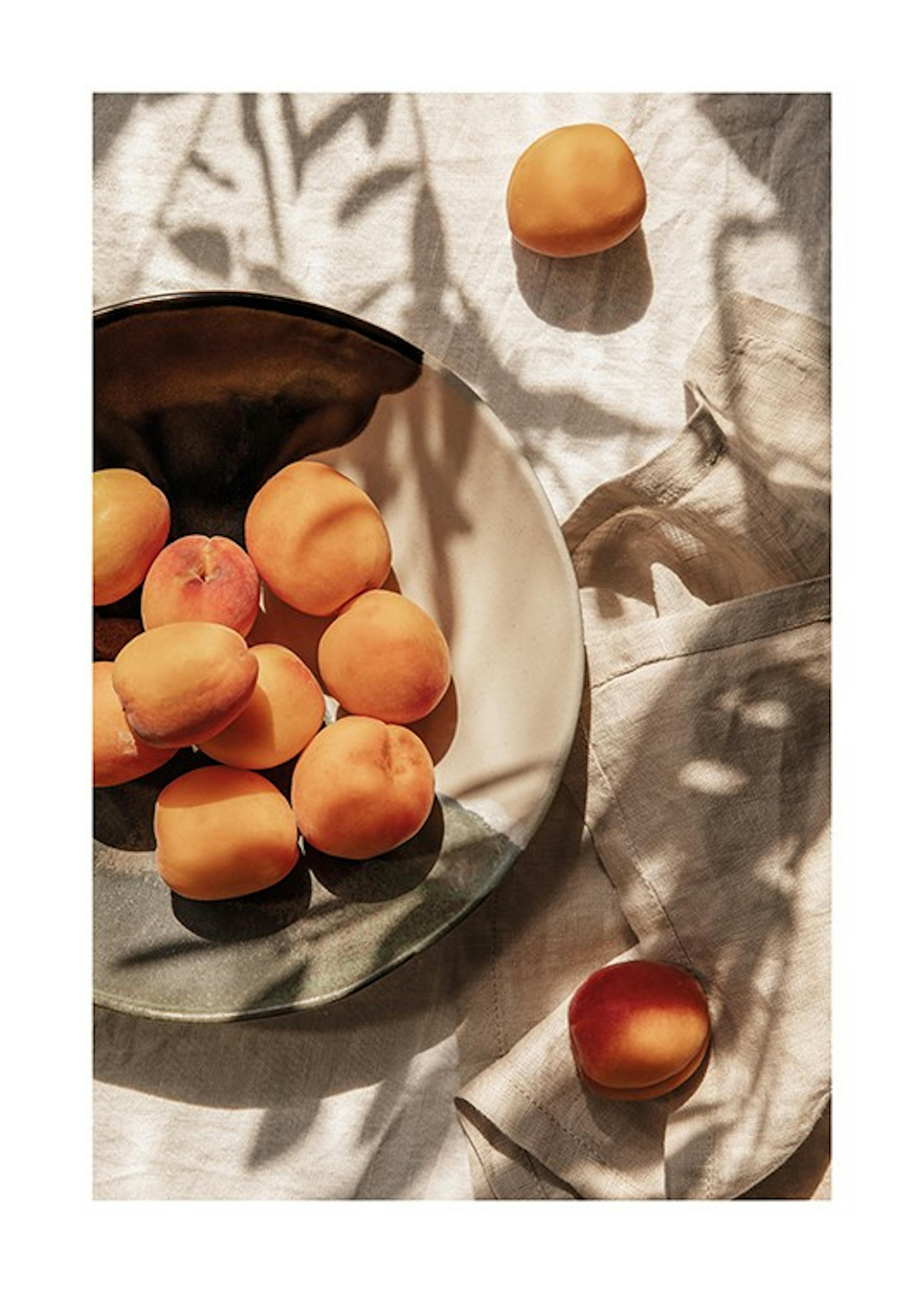 Apricots In Sunlight Poster 0