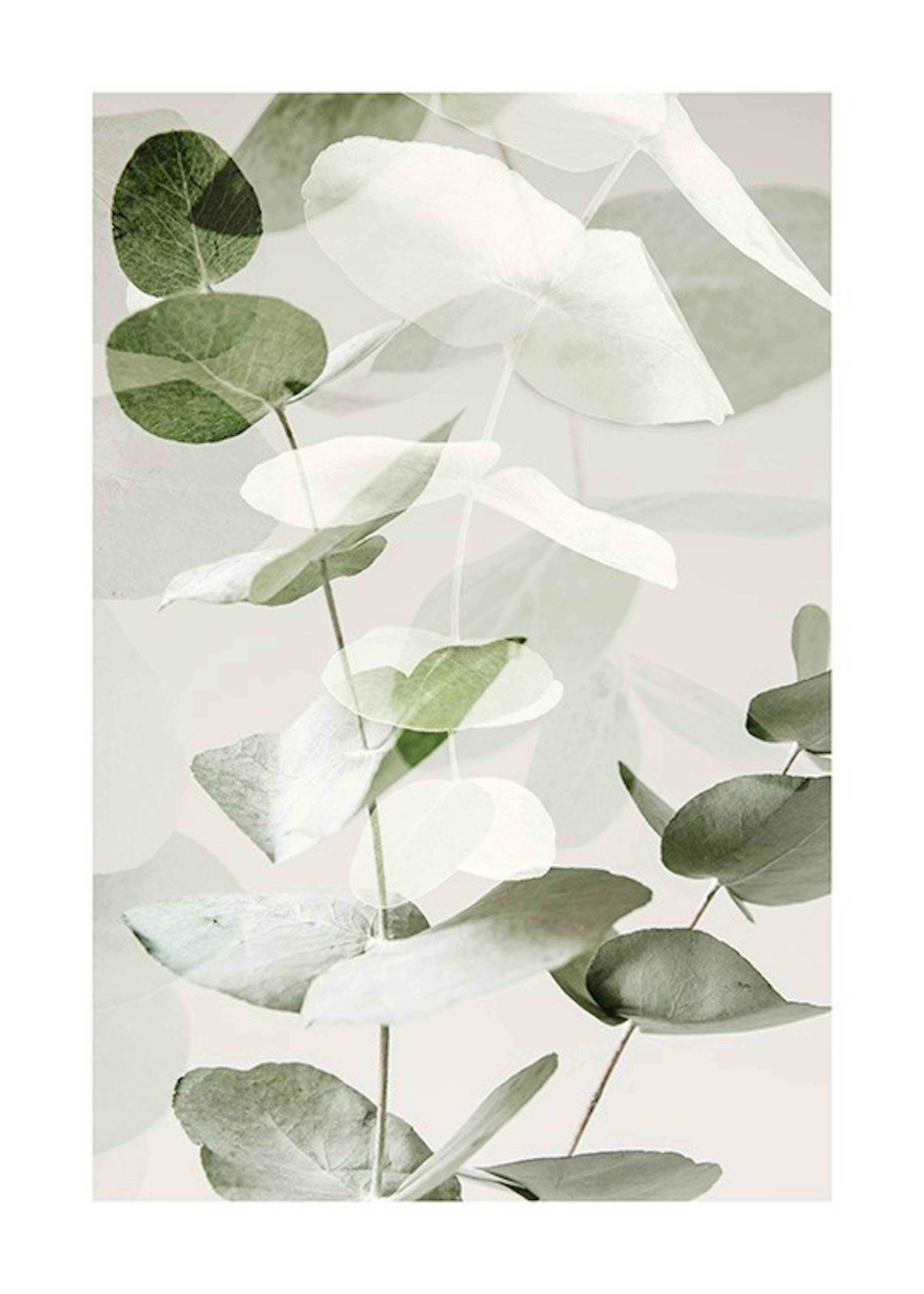 Eucalyptus Shades No2 Print 0