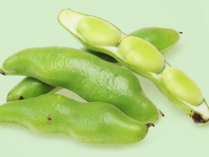 Lima Beans