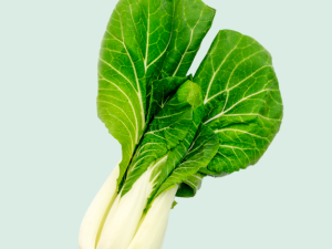 Bok Choy