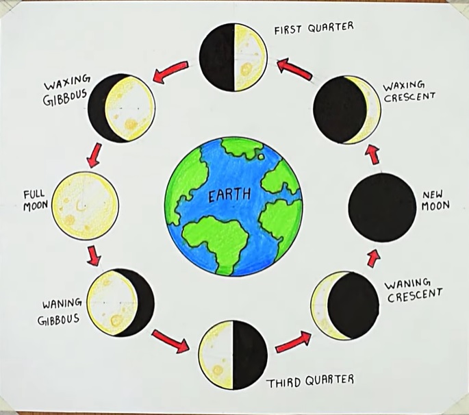 A Guide to Understand Moon Phases with Diagram | EdrawMax Online - bob娱乐网站