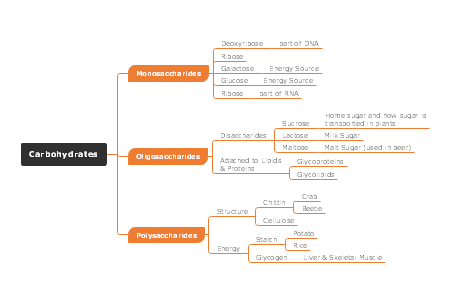 Carbohydrates Concept Map