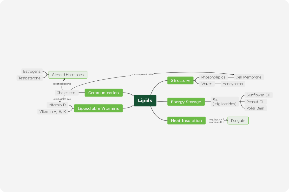 lipids concept map