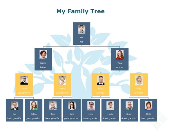 8 Family Tree Ideas Organization Chart Organizational Chart Images