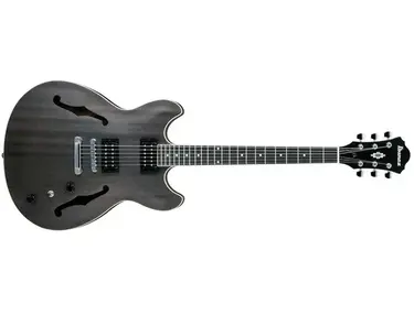 Ibanez AS53