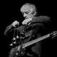 Lee Ranaldo