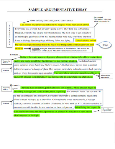 Argumentative Essay Writing Example