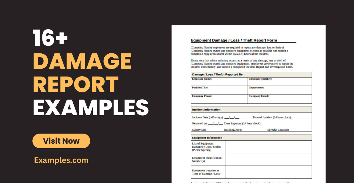 Damage Report Examples