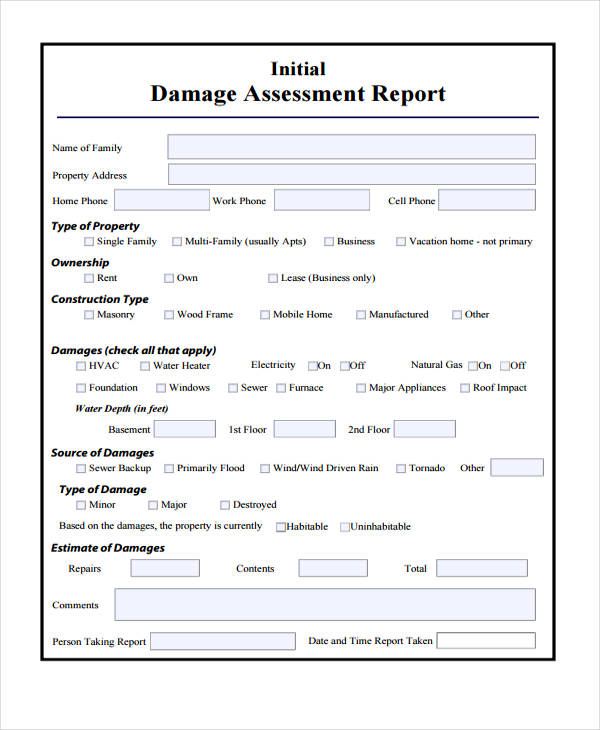 Initial Damage Assessment Report Example