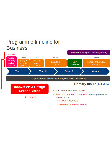 Business Programe Timeline Example 