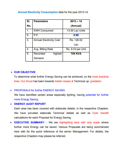 Energy Audit Services Report