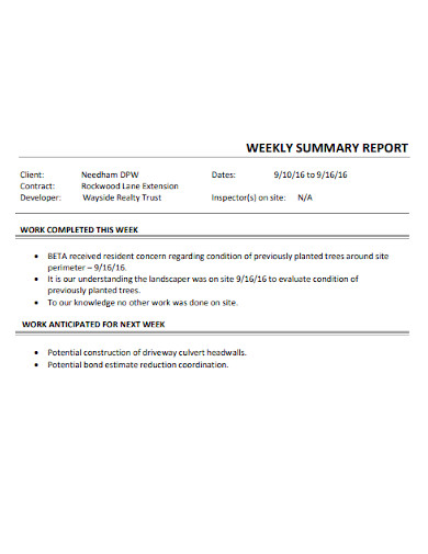 Printable Weekly Summary Report