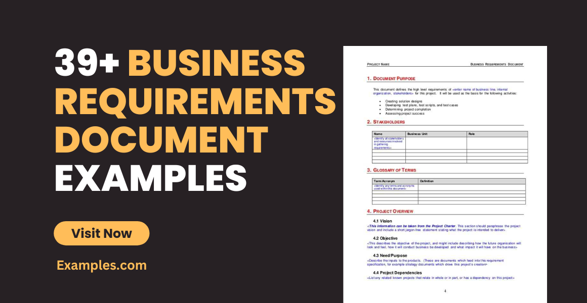 Business Requirements Document Examples