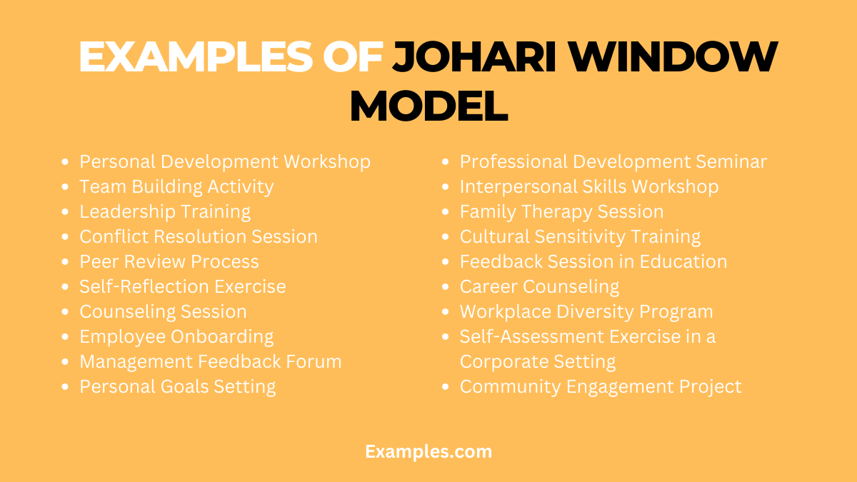 Examples of Johari Window Models