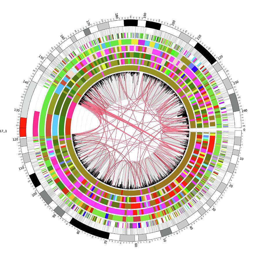 Circular Genome | Hot Sex Picture