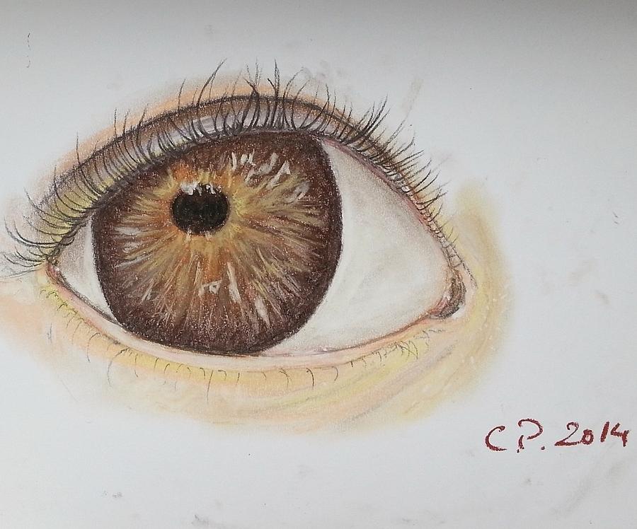 Brown eye Painting by Cristina Parus - Fine Art America