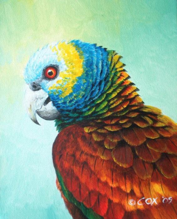 St. Vincent Parrot by Christopher Cox