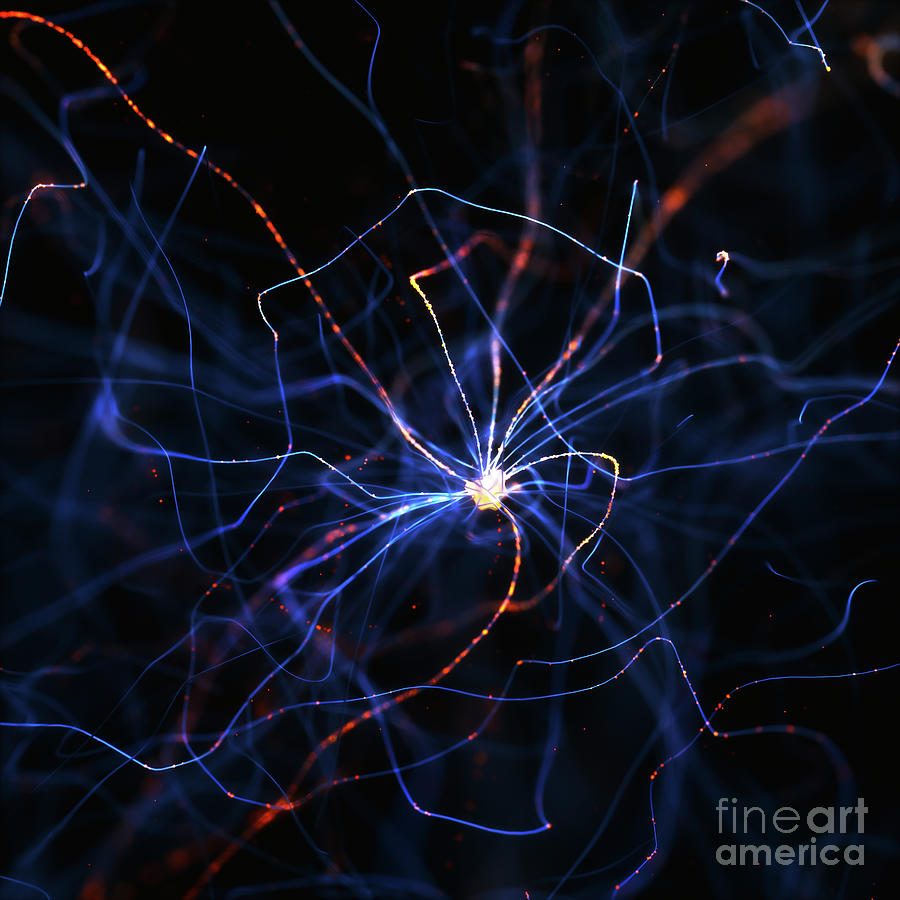 Nerve Cell #5 by Science Photo Library