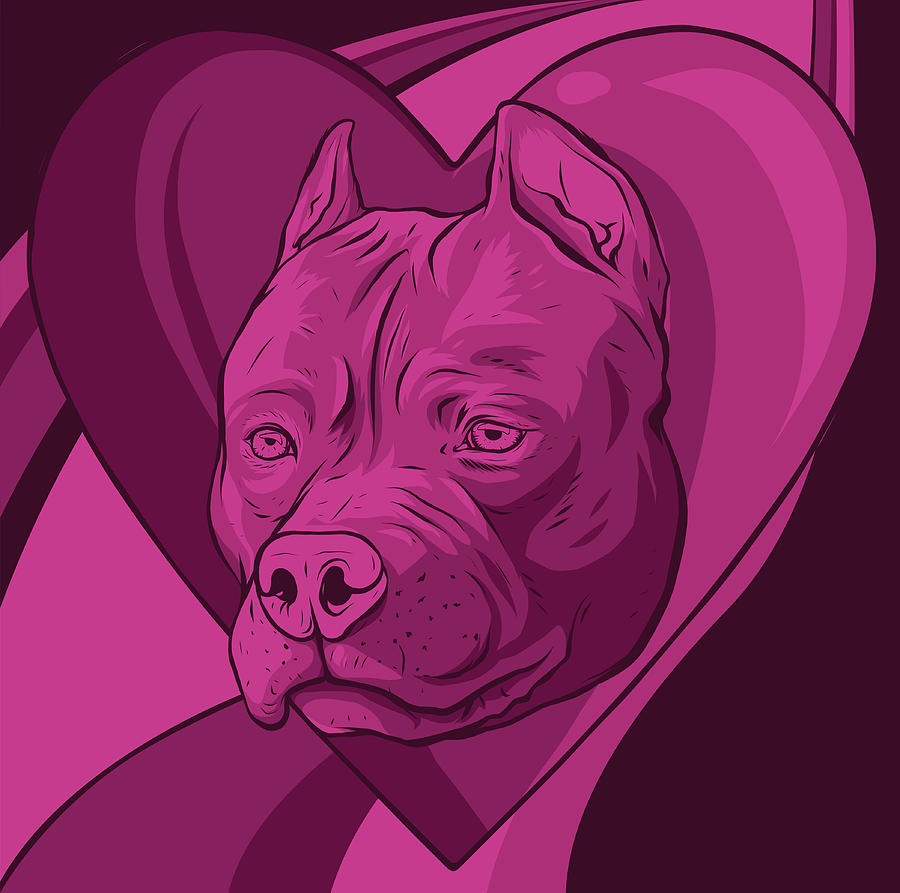 Pitbull Head Vector