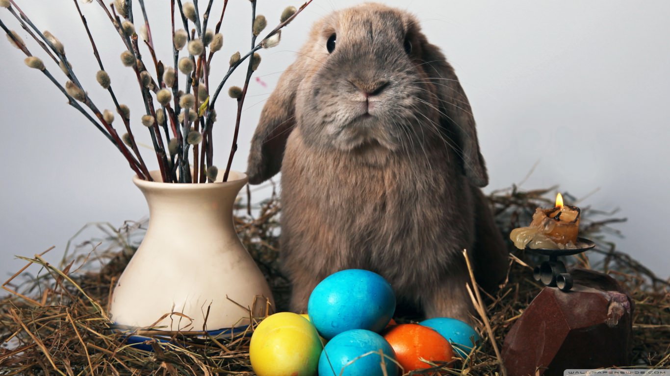 Awesome Easter Bunny Wallpaper