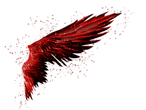  Wings Clipart Overlay PNG