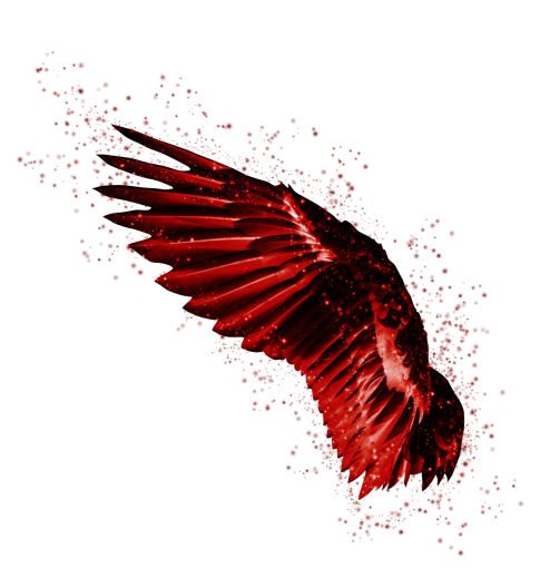  Wings Clipart Overlay PNG