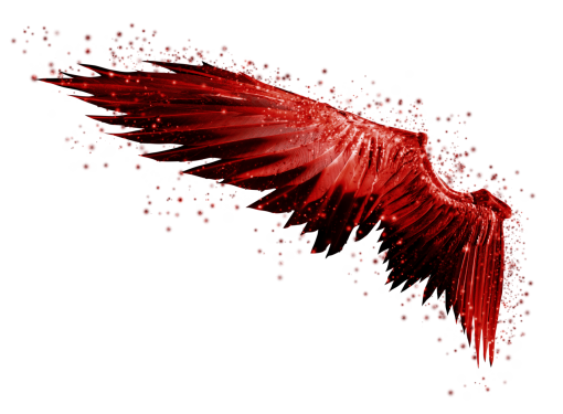  Wings Clipart Overlay PNG