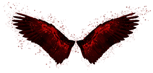  Wings Clipart Overlay PNG