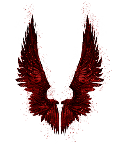  Wings Clipart Overlay PNG