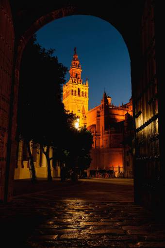 cat Cityscape of Toledo Spain